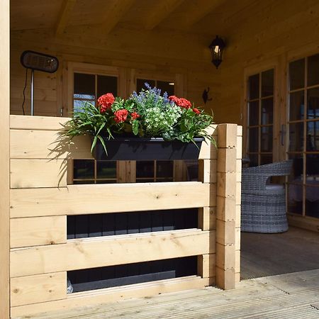 Pinewood Cabin Saline Екстер'єр фото