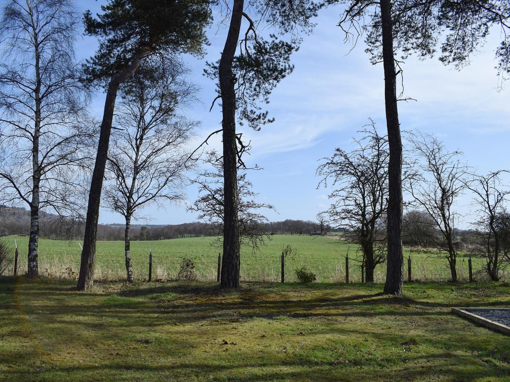 Pinewood Cabin Saline Екстер'єр фото